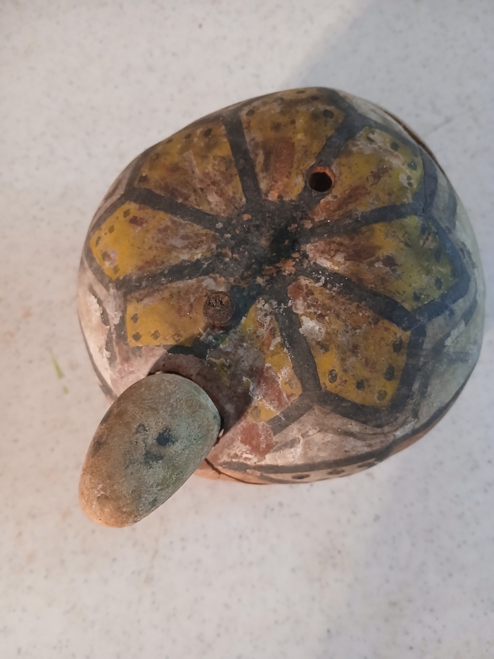 Ceremonial Dance Regalia Hopi Turtle